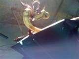 images of Security Door Okc images of Security Door Okc