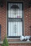 Screen Security Doors Nyc Screen Security Doors Nyc