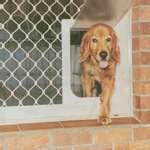 images of Security Door Screens In Adelaide