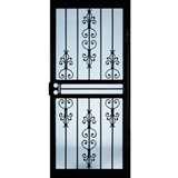 pictures of Security Door Larson pictures of Security Door Larson