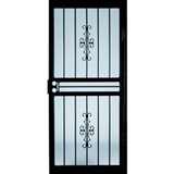pictures of Security Door Larson pictures of Security Door Larson